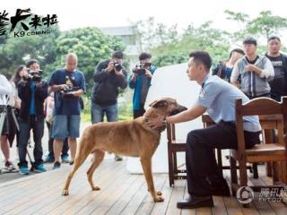 杨蓉警犬来了花絮,警犬与演员的甜蜜互动